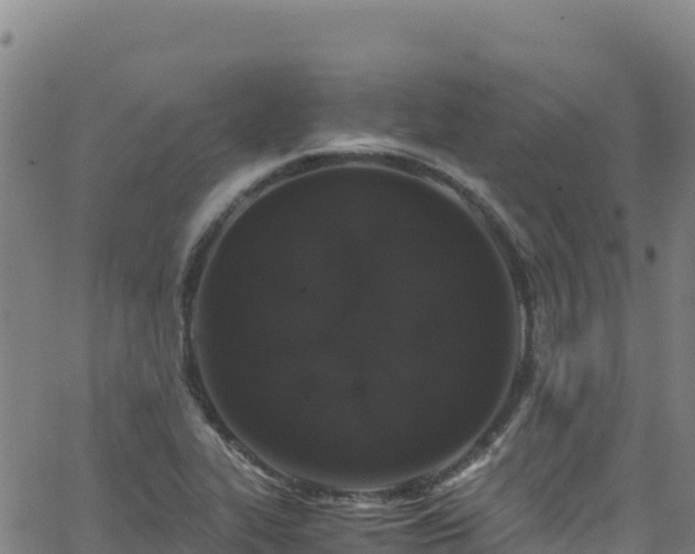 X0000062931319200601181300