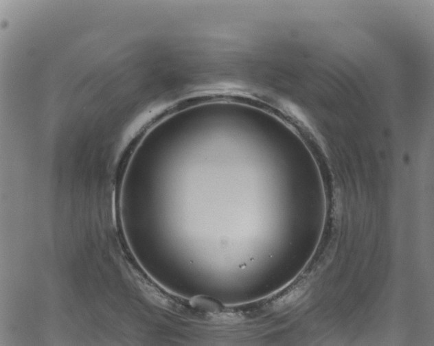 X0000062931320200601181300