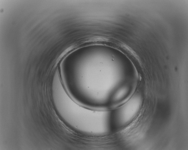 X0000062931321200601181300