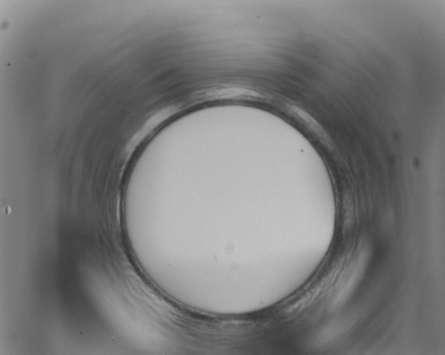 X0000062931322200601181300