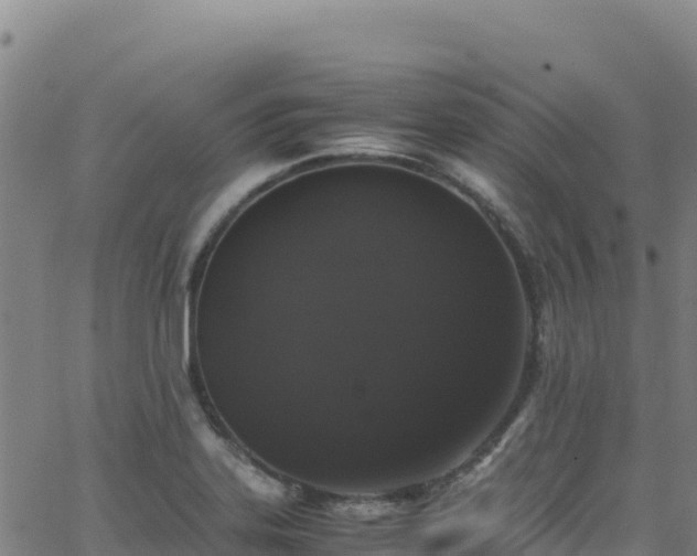 X0000062931323200601181300