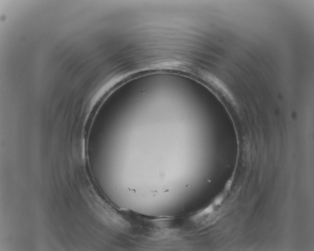 X0000062931324200601181300