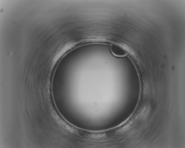 X0000062931325200601181300