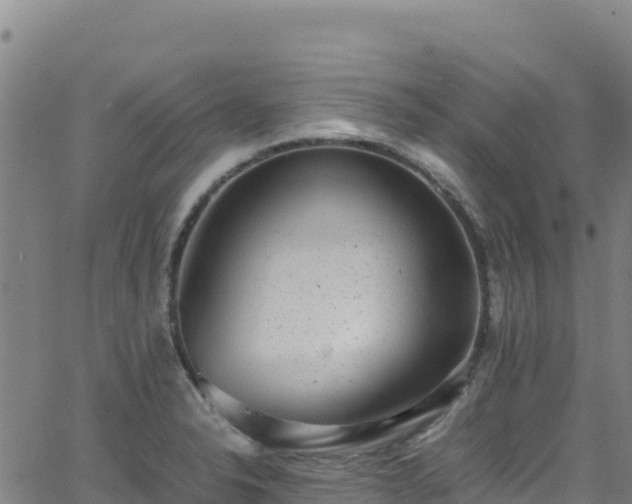 X0000062931326200601181300