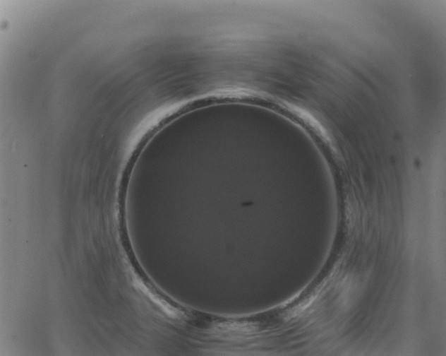 X0000062931327200601181300