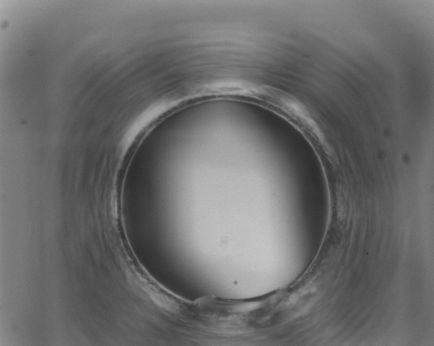 X0000062931328200601181300