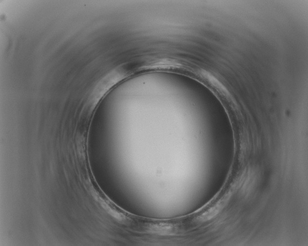 X0000062931329200601181300