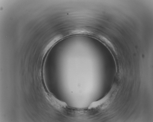 X0000062931330200601181300