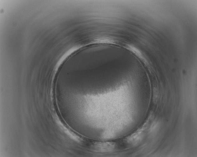 X0000062931331200601181300