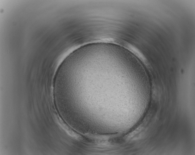 X0000062931332200601181300