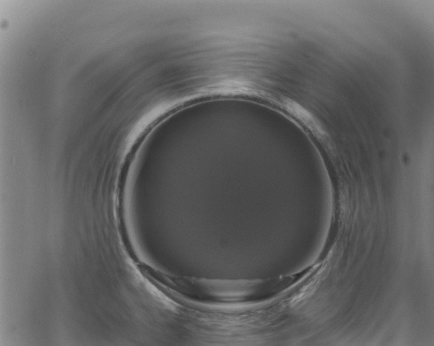 X0000062931334200601181300