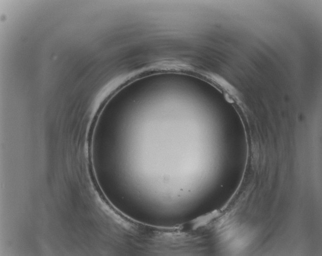 X0000062931335200601181300