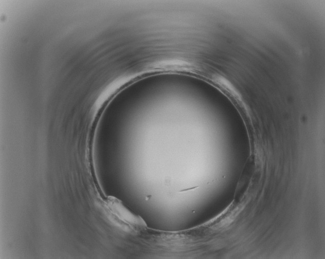 X0000062931336200601181300