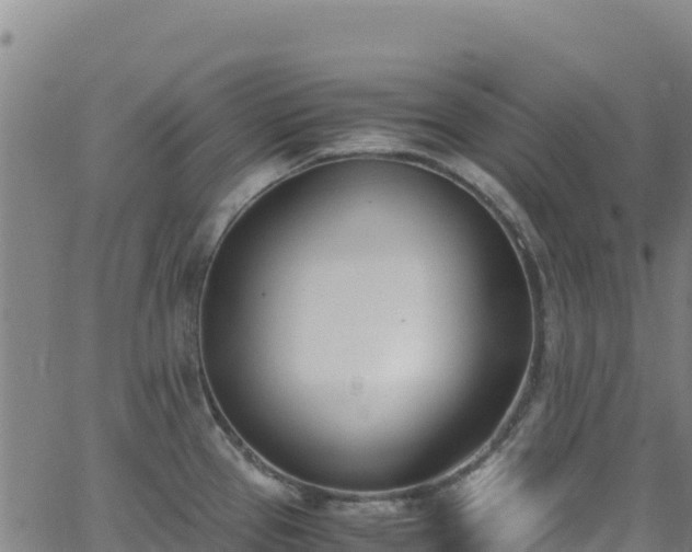 X0000062931337200601181300