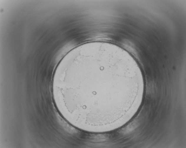 X0000062931338200601181300