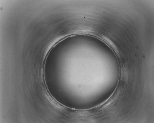 X0000062931340200601181300