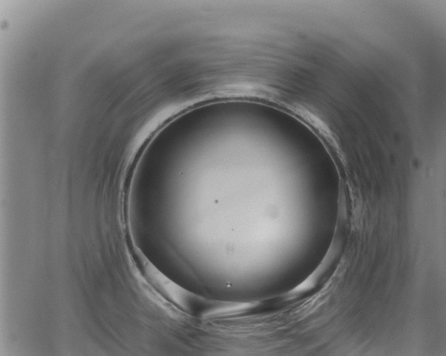 X0000062931342200601181300