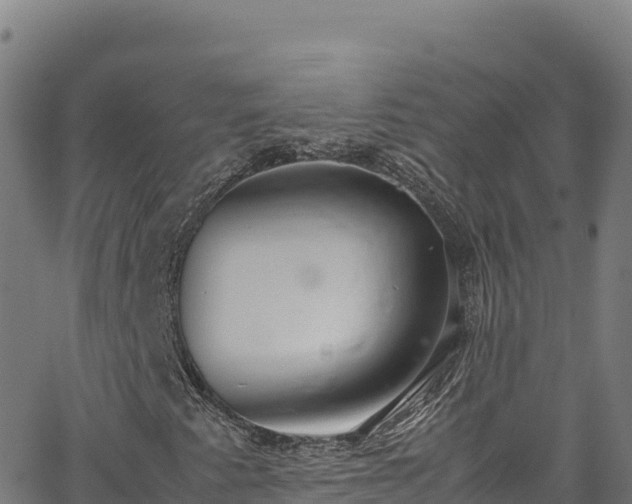 X0000062931345200601181259