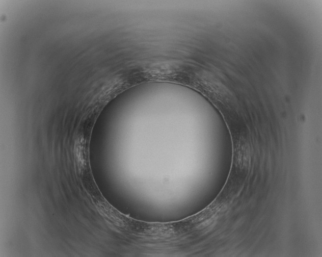 X0000062931346200601181259