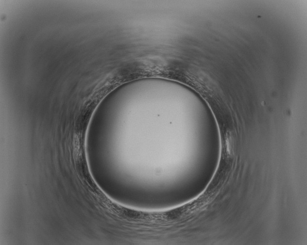 X0000062931347200601181259