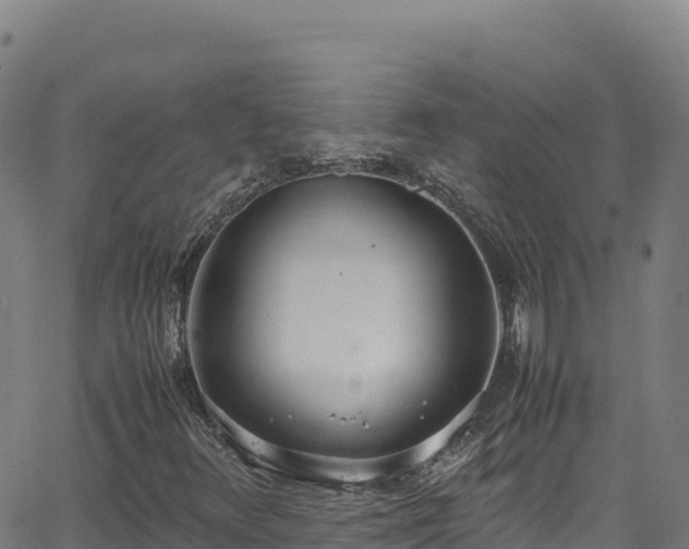 X0000062931348200601181259