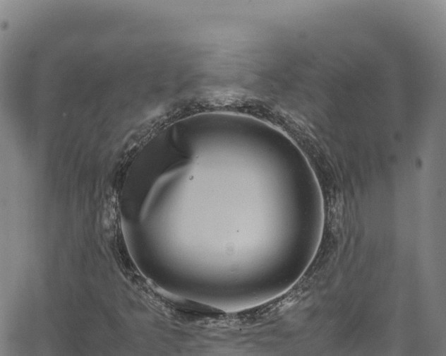 X0000062931349200601181259