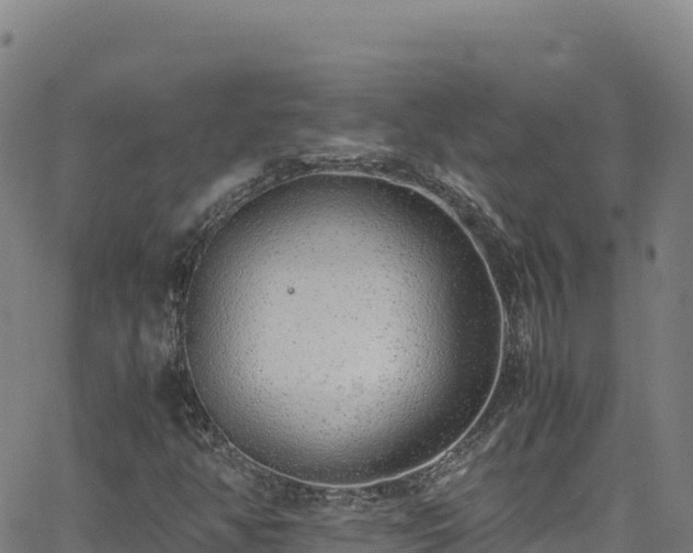 X0000062931350200601181259