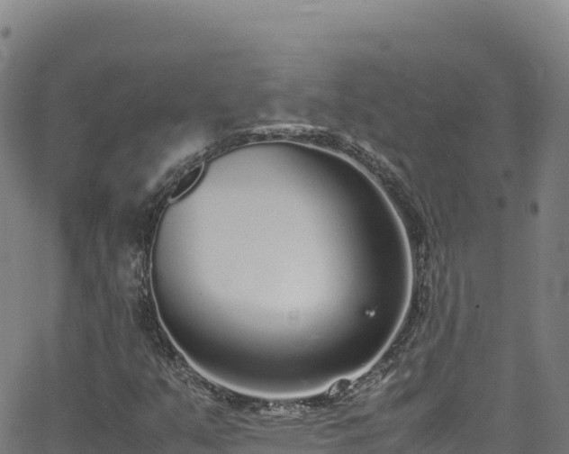 X0000062931351200601181259