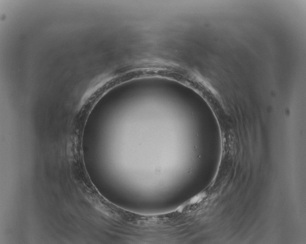 X0000062931352200601181259