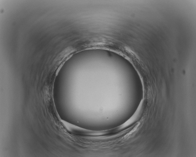 X0000062931353200601181259