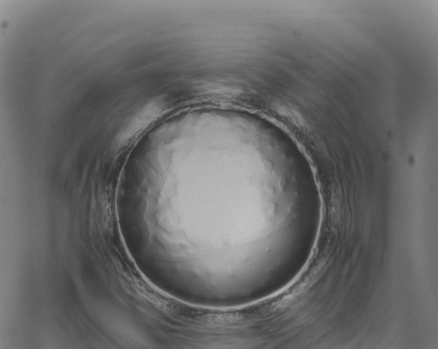 X0000062931354200601181259