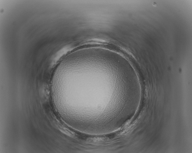 X0000062931355200601181259