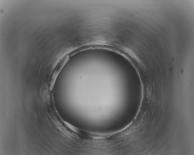 X0000062931356200601181259