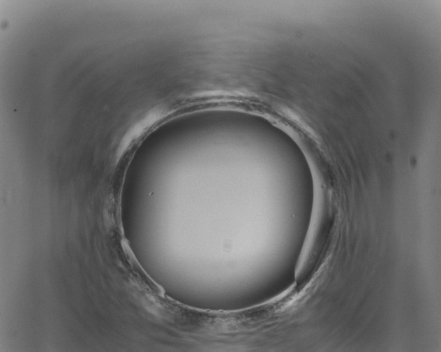 X0000062931357200601181259