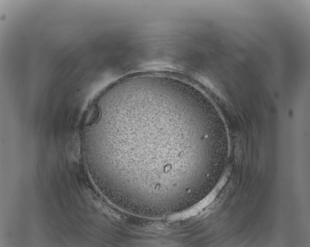 X0000062931358200601181259