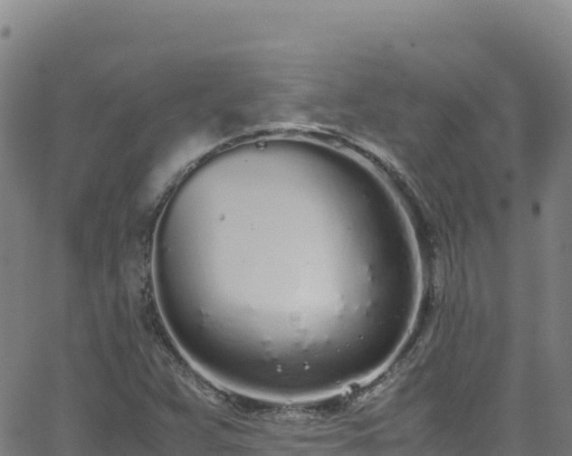 X0000062931359200601181259