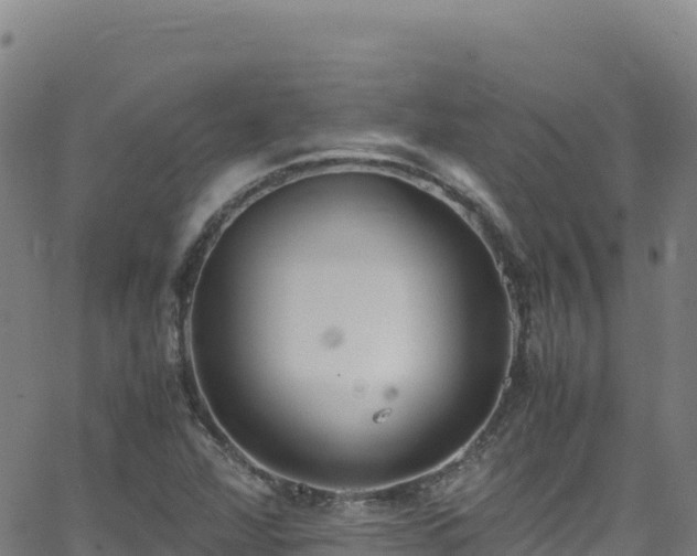 X0000062931360200601181259