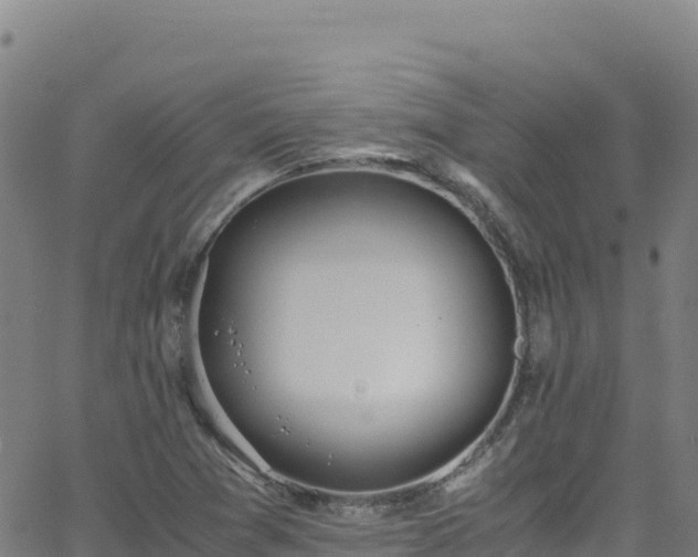 X0000062931361200601181259