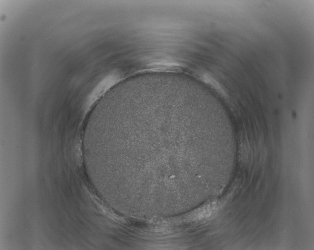 X0000062931362200601181259