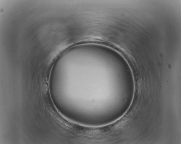 X0000062931363200601181259