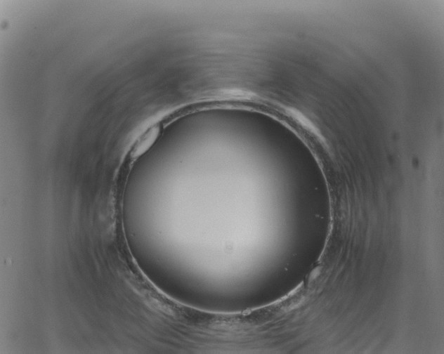 X0000062931364200601181259