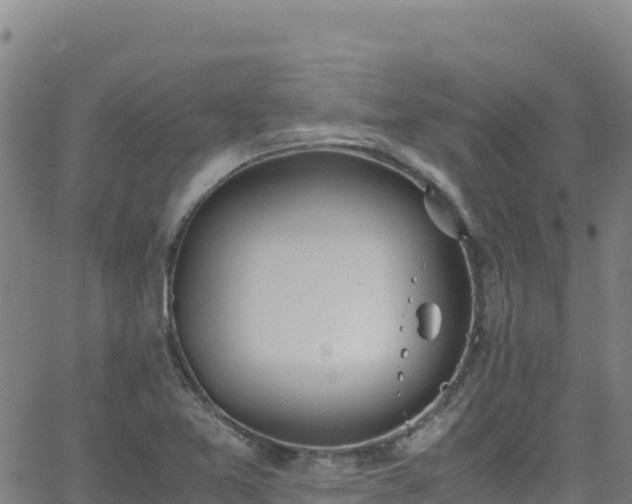 X0000062931365200601181259