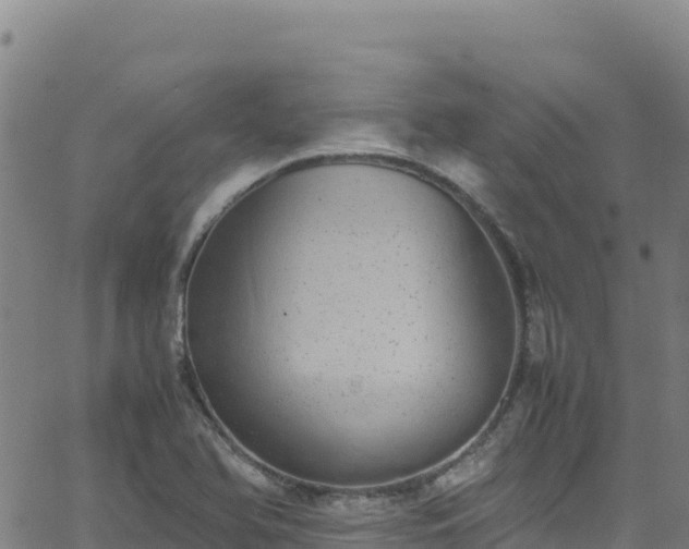 X0000062931366200601181259