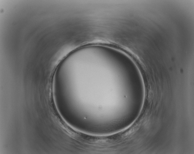 X0000062931367200601181259