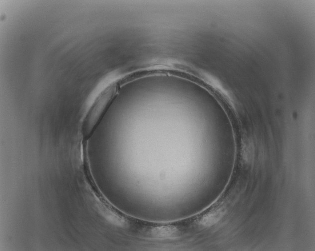 X0000062931368200601181259