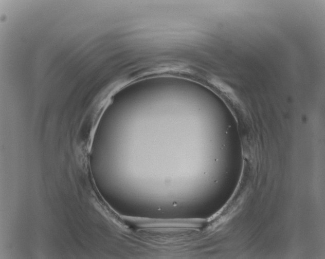 X0000062931369200601181259