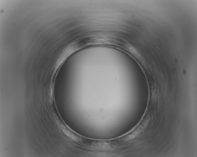 X0000062931370200601181259