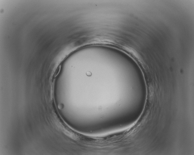 X0000062931371200601181259