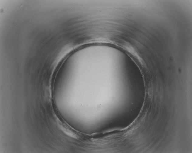 X0000062931372200601181259