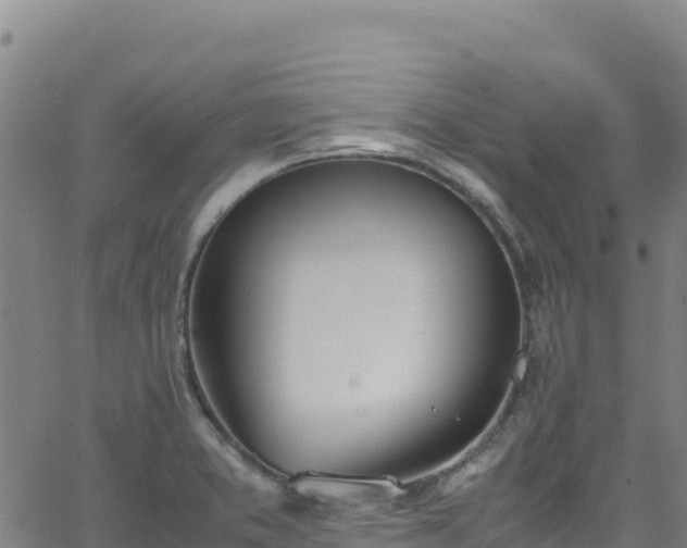 X0000062931373200601181259